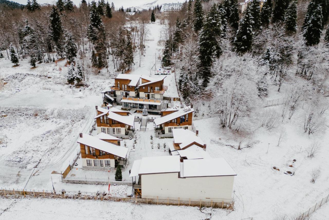 7 Cottage In Bakuriani Zewnętrze zdjęcie